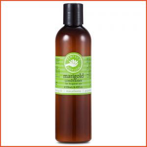 Perfect Potion  Marigold Conditioner (for Frequent Use) 8.45oz, 250ml (All Products)