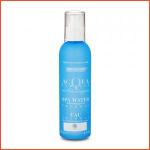 Terme Di Salsomaggiore  SPA Water  8.4oz, 250ml (All Products)